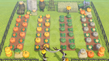Load image into Gallery viewer, Spooky Pumpkin Patch
