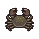 Mitten Crab