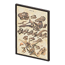Framed Fossil Poster