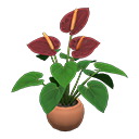 Load image into Gallery viewer, Anthurium Plant
