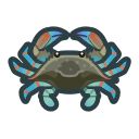 Gazami Crab
