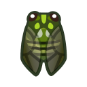 Robust Cicada