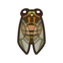 Evening Cicada