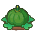 Ripe Green-Pumpkin Plant