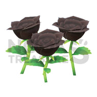 Black-Rose Plant(s)