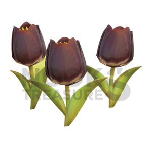Black-Tulip Plant(s)