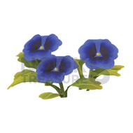 Blue-Pansy Plant(s)