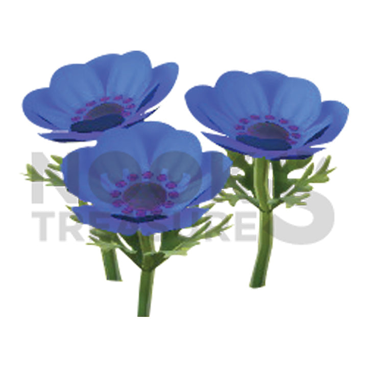Blue-Windflower Plant(s)