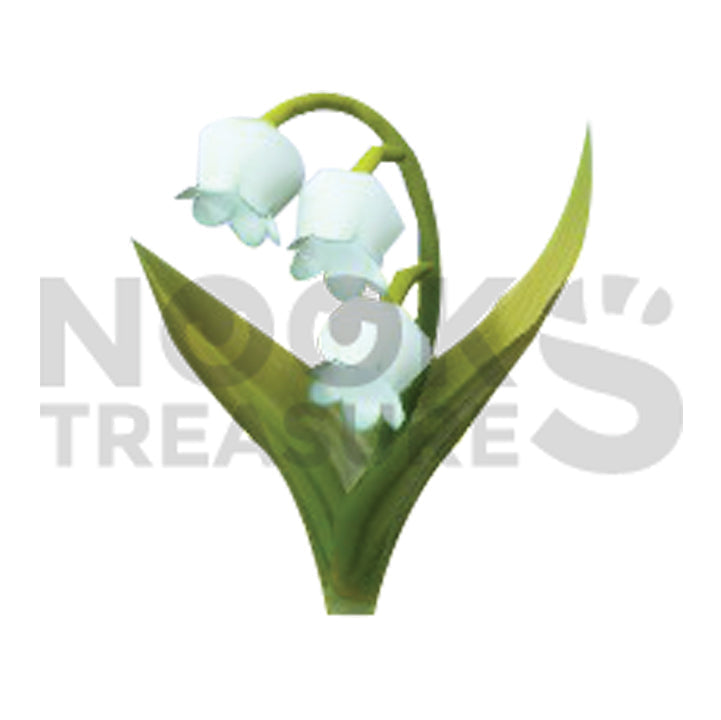 Lily-Of-The-Valley Plant(s)