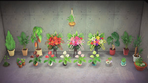 Flower & Plant Collection 1