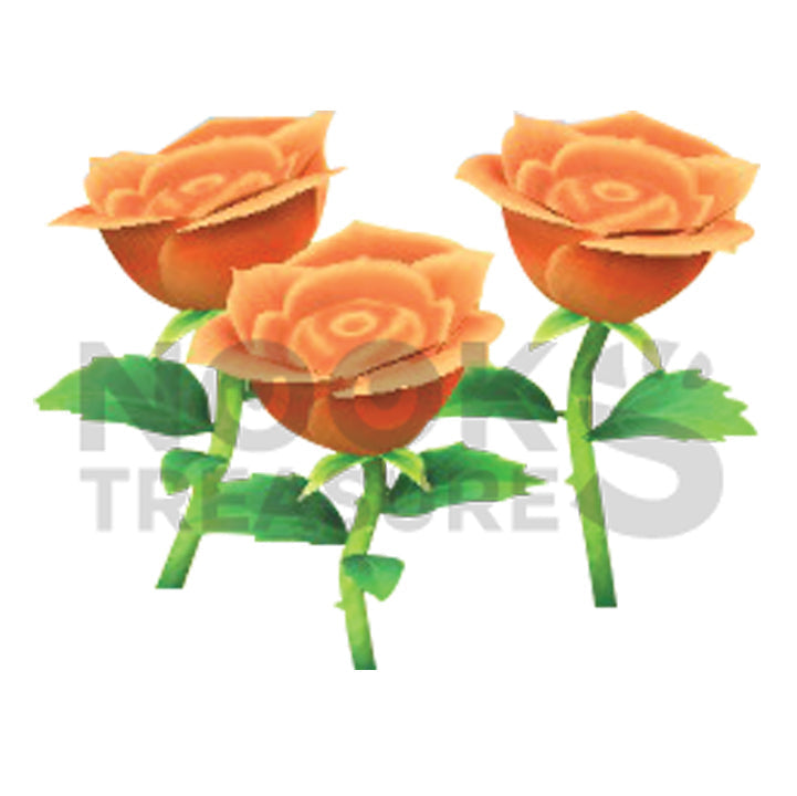 Orange-Rose Plant(s)