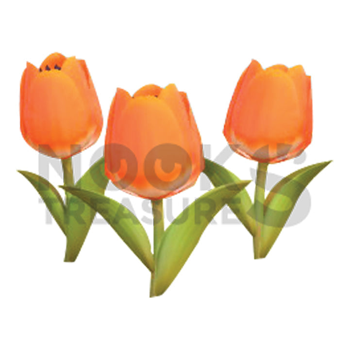 Orange-Tulip Plant(s)