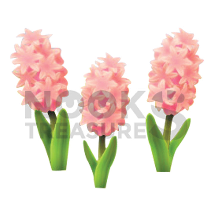 Pink-Hyacinth Plant(s)