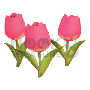 Pink-Tulip Plant(s)