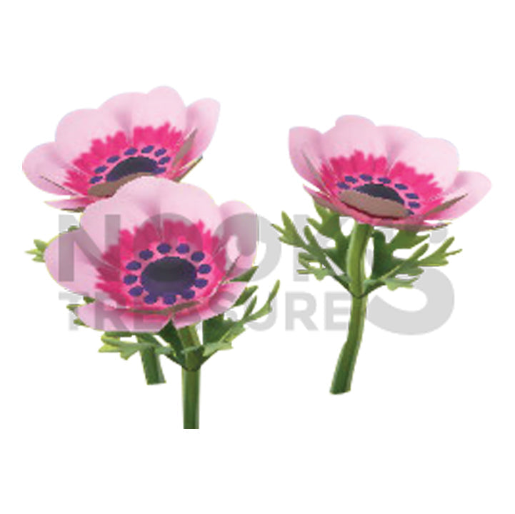 Pink-Windflower Plant(s)