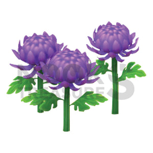 Purple-Mum Plant(s)