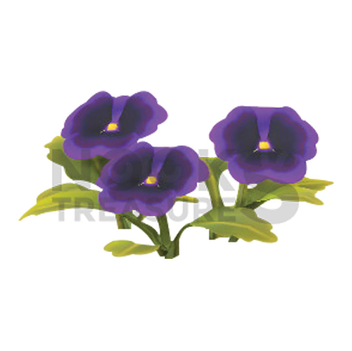 Purple-Pansy Plant(s)