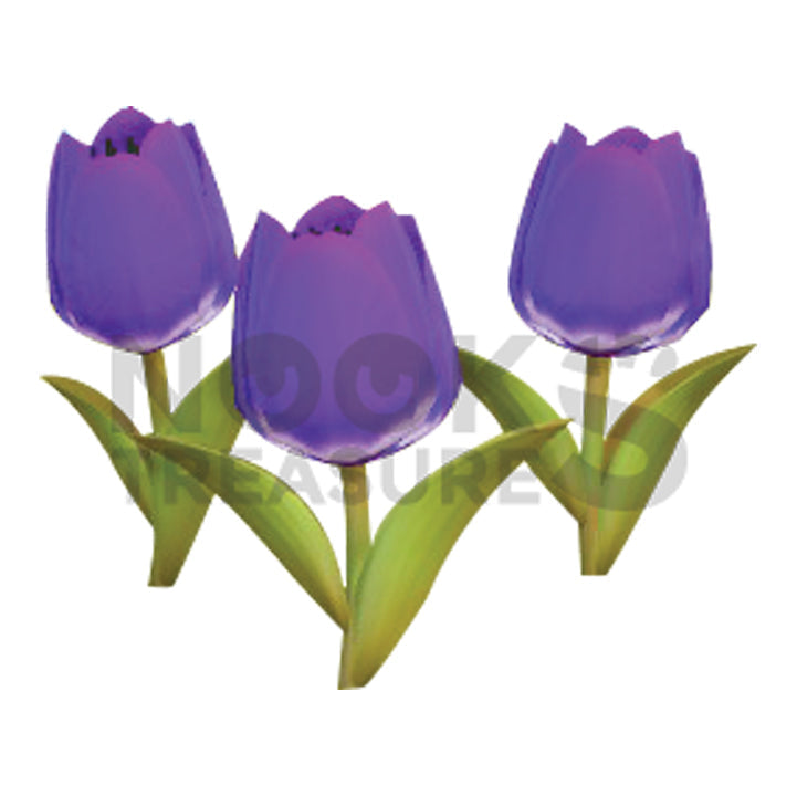 Purple-Tulip Plant(s)